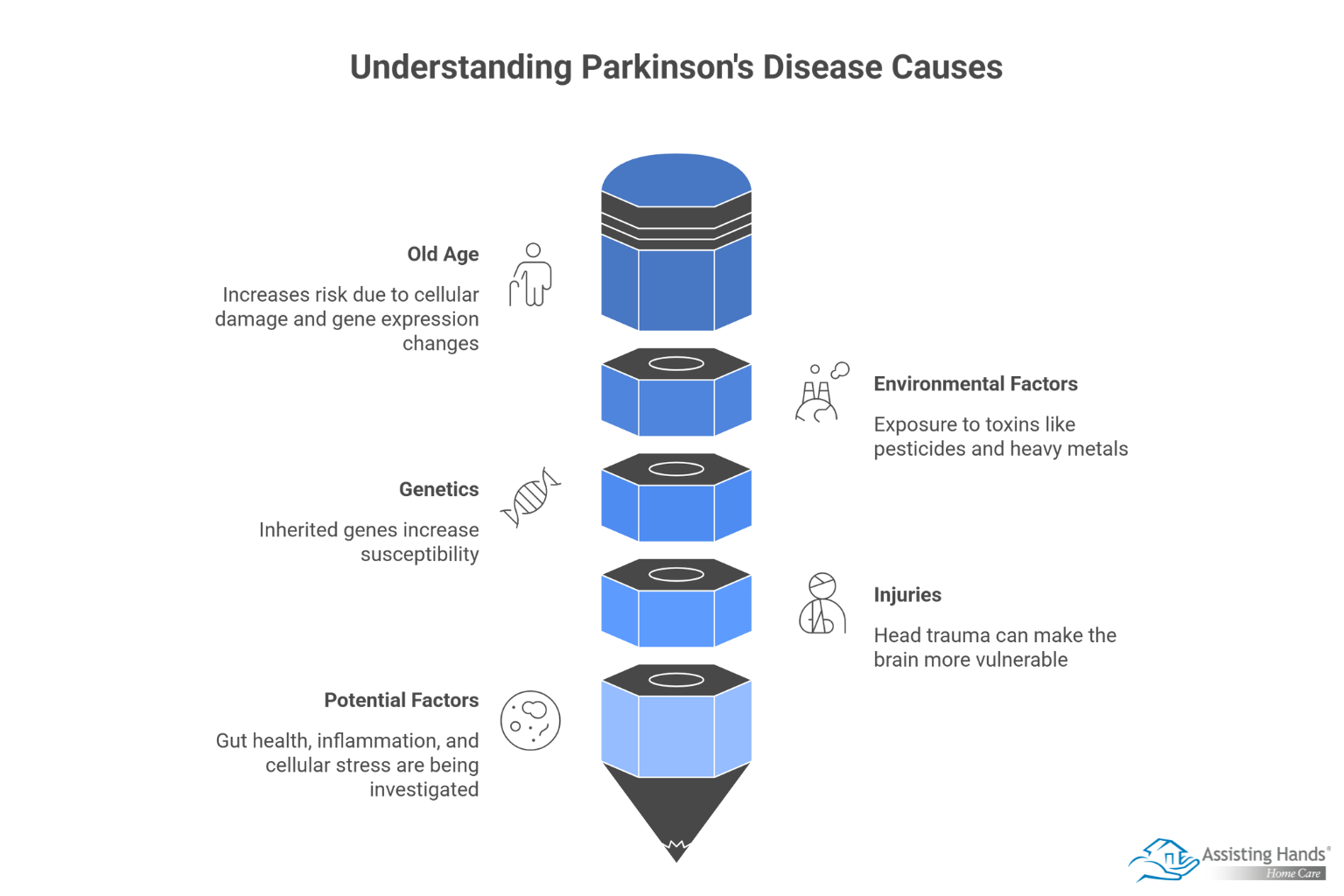 What Are the Causes of Parkinson’s Disease 
